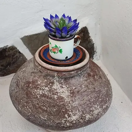 Prázdninový dům La Casa De Conchita *